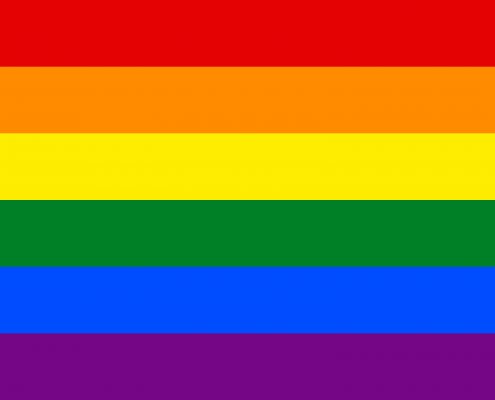 Gay_flag.svg copy