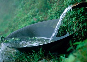 Vietnam-water-bowl-rfw-1