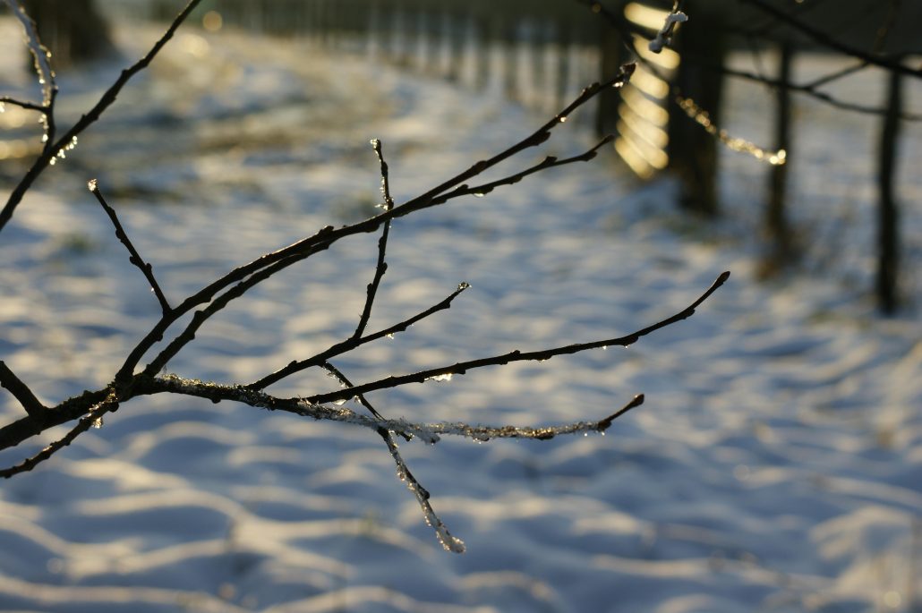 winter-solstice